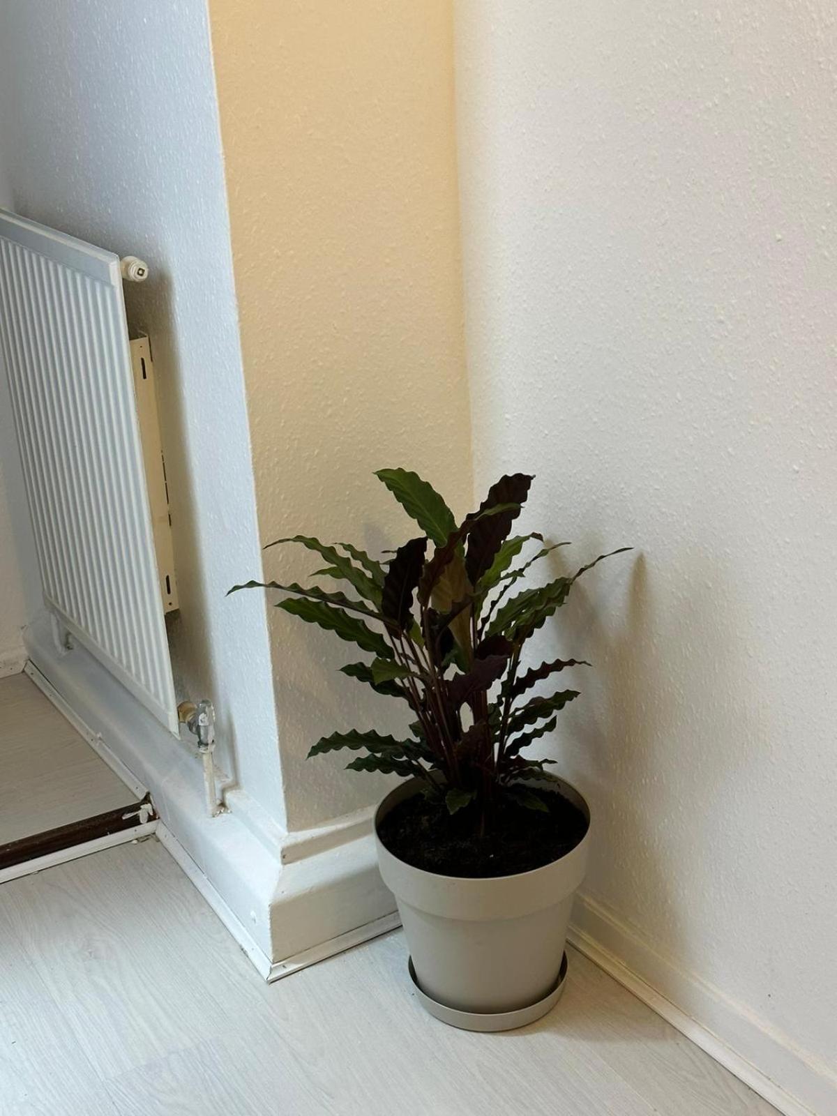 3 Bedroom King Cross Station City Centre Londyn Zewnętrze zdjęcie